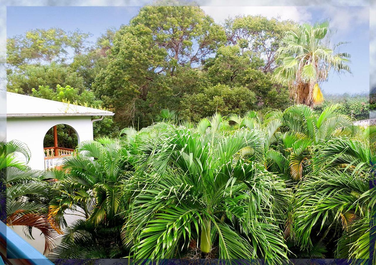 Ti Studio Creole Mahogany Sainte-Anne Buitenkant foto