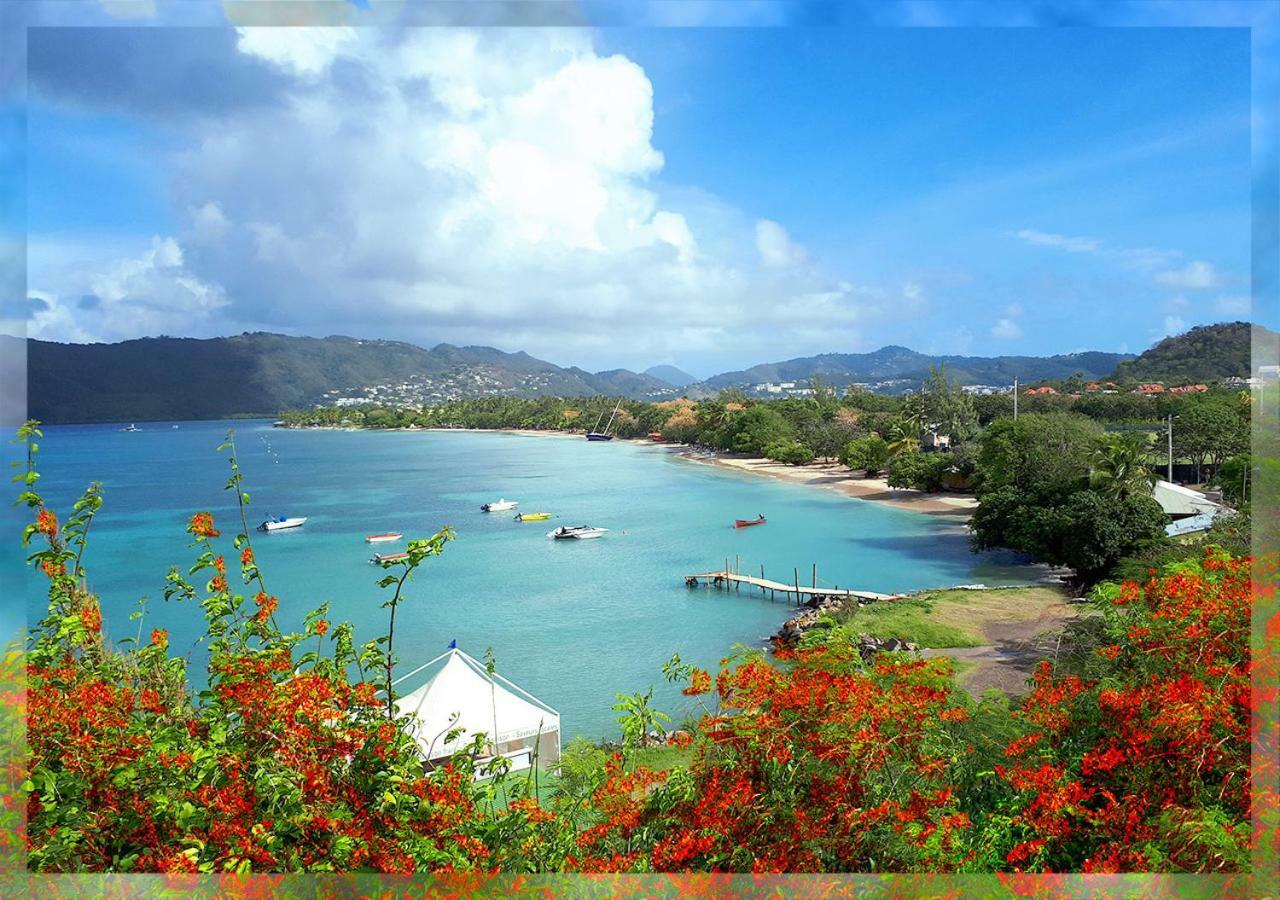 Ti Studio Creole Mahogany Sainte-Anne Buitenkant foto